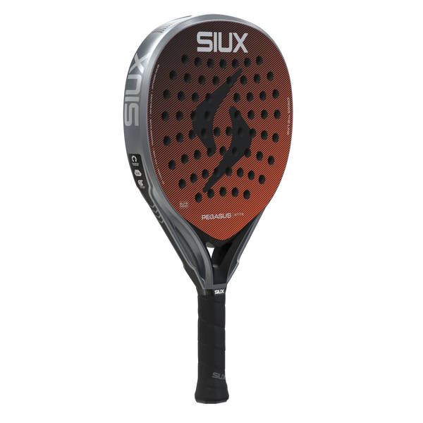 Siux Pegasus Elite 4 2026
