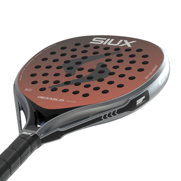 Siux Pegasus Elite 4 2026